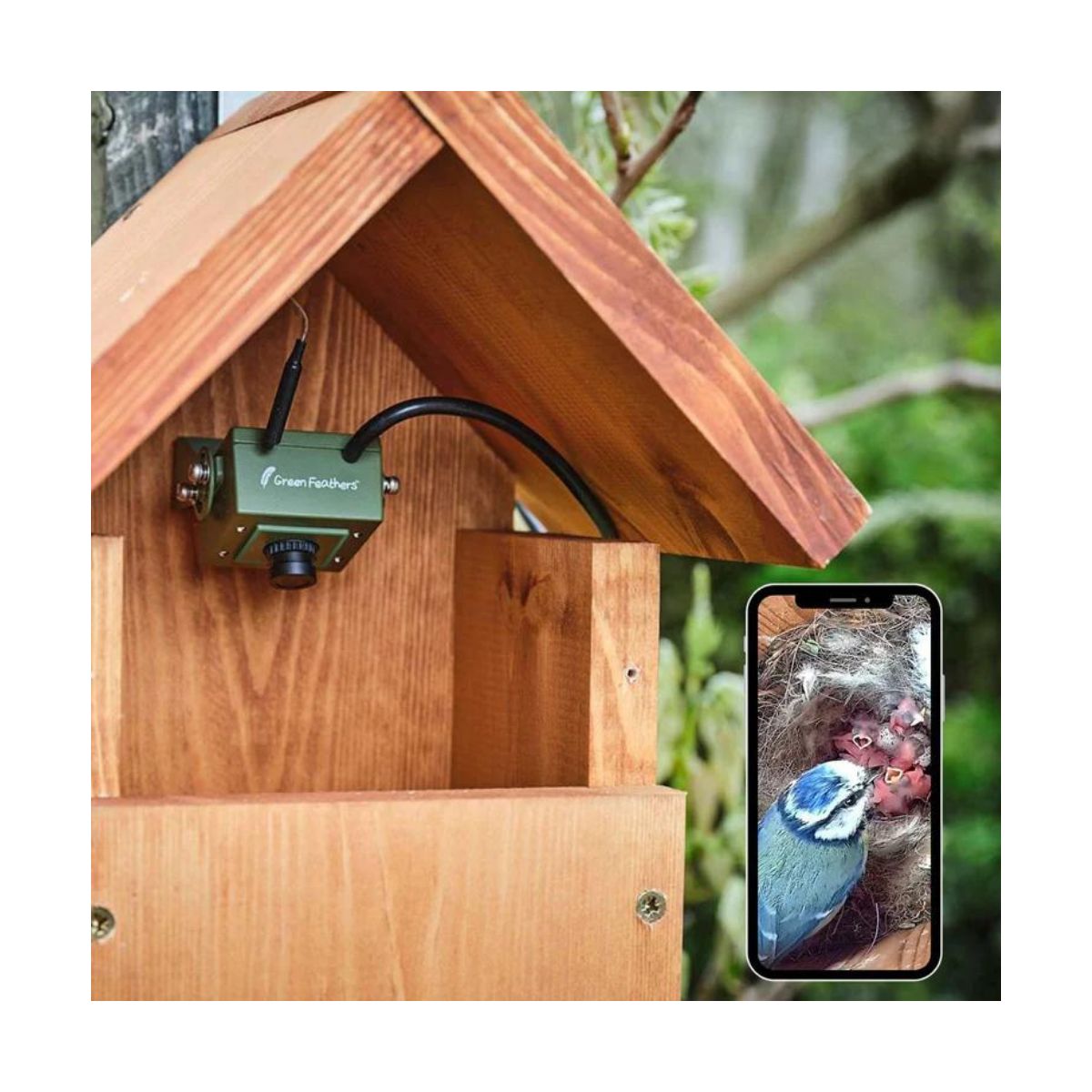 Caméra wifi pour Nichoir à oiseaux (avec cable 10 m inclus)