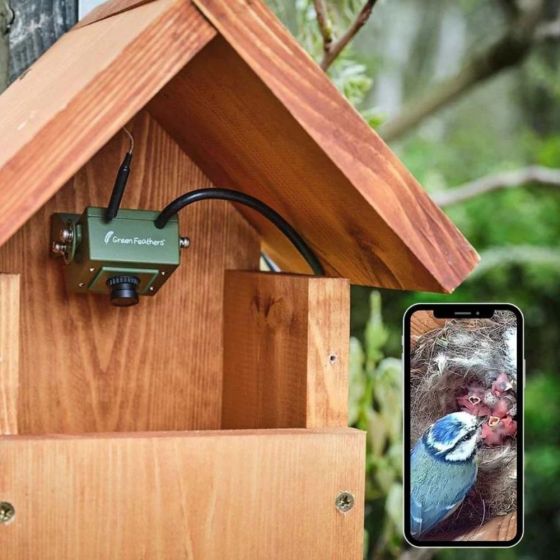 Kit complet Nichoir oiseaux avec caméra Wifi