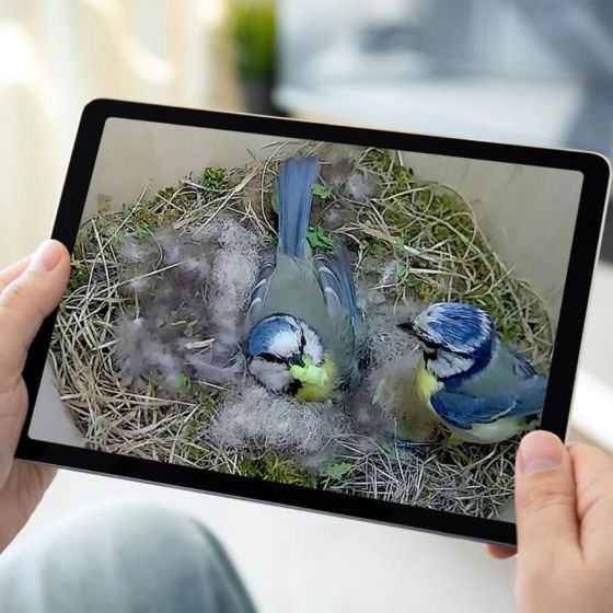 Kit complet Nichoir oiseaux avec caméra Wifi