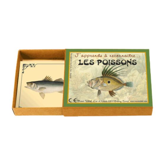 J'apprends à reconnaîtres les poissons