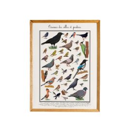Poster les Oiseaux des jardins 30 x 40 cm