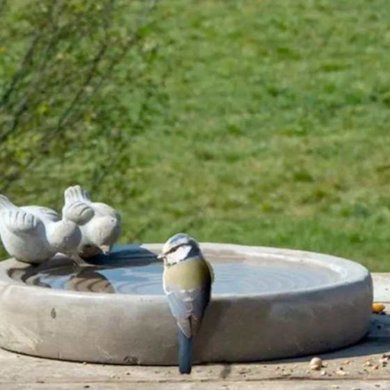 Abreuvoir d'oiseau en béton - 29 cm