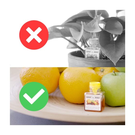 Pièges (x2) contre les mouches des fruits (drosophile)