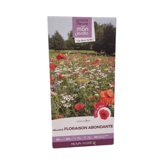 Mélange prairie fleurie : Floraison abondante 30 m2