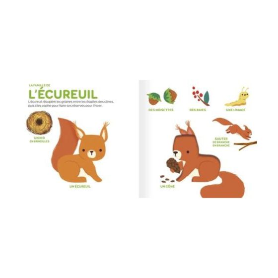 Les animaux de la forêt