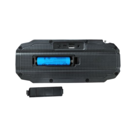 Enceinte Bluetooth -radio FM - solaire et usb - Buffalo