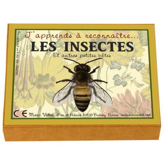 J'apprends à reconnaître les insectes et autres petites bêtes