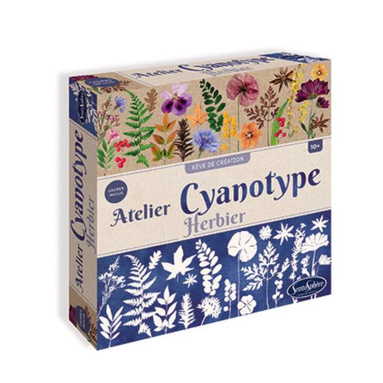 Atelier Cyanotype herbier Atelier Cyanotype herbier