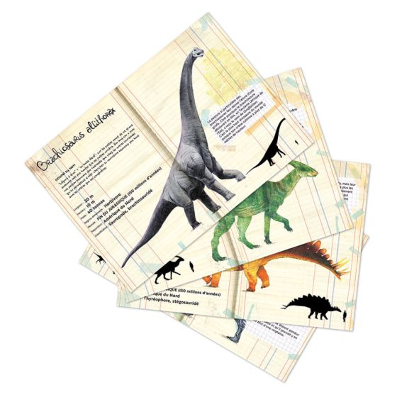 Set de 21 magnets Dinosaures Museum