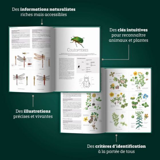 Le grand livre de la nature