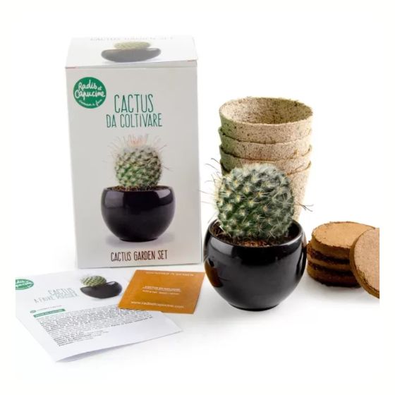 Garden set - Cactus zen