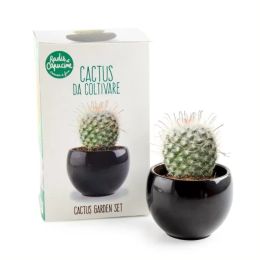 Garden set - Cactus zen