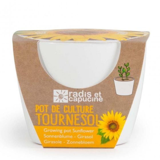 Pot de culture en céramique - Tournesol Bio - 8 cm