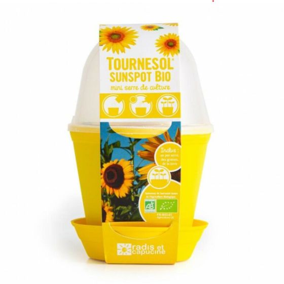 Pot en cloche - Tournesol bio