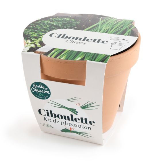 Pot en terre cuite antique - Ciboulette bio