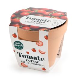 Pot en terre cuite antique - Tomate cerise bio