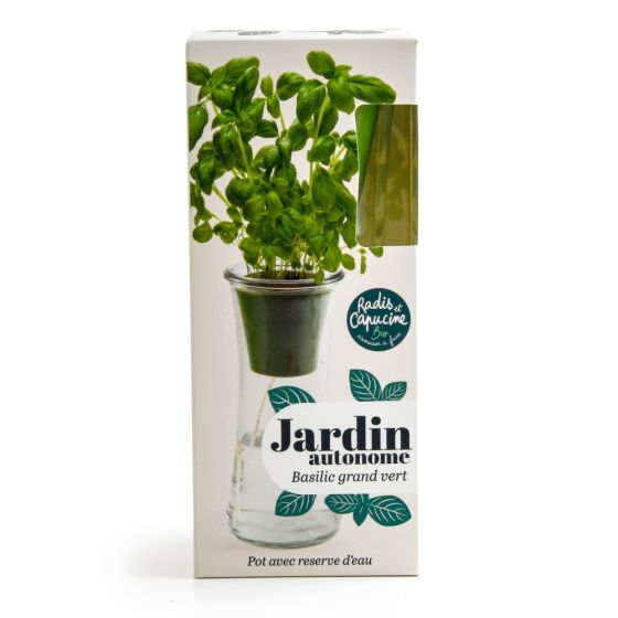 Jardin autonome - Basilic grand vert bio