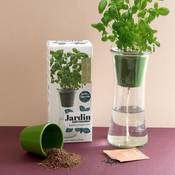 Jardin autonome - Basilic grand vert bio