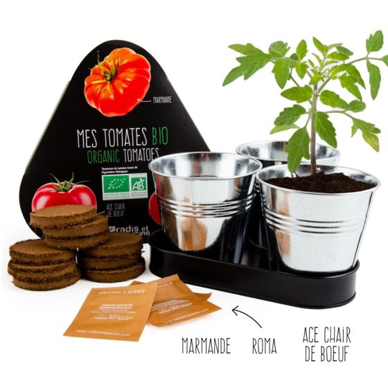 Plateau trio pots zinc - Tomates bio