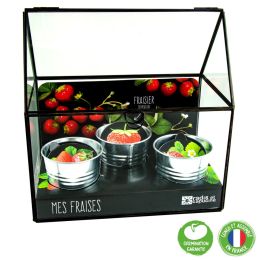 Serre avec châssis zinc noir - Fraisier - 3 pots