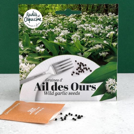 Sachet graines fleurs comestibles - Ail des ours