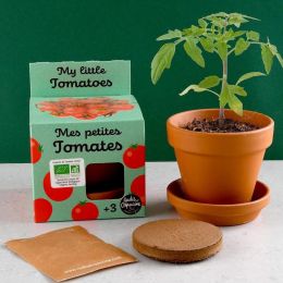 Kit plantation - Tomates Cerise bio - 8cm