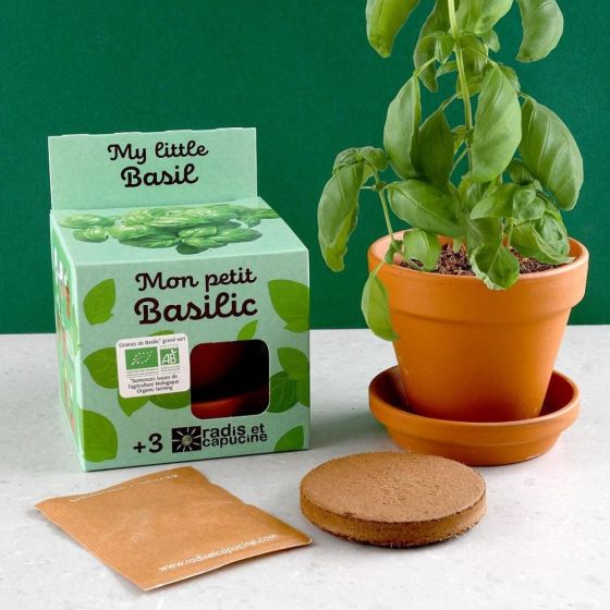 Kit plantation - Basilic bio - 8cm