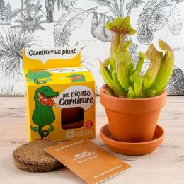 Pot avec coupelle - Plantes carnivores - 8 cm