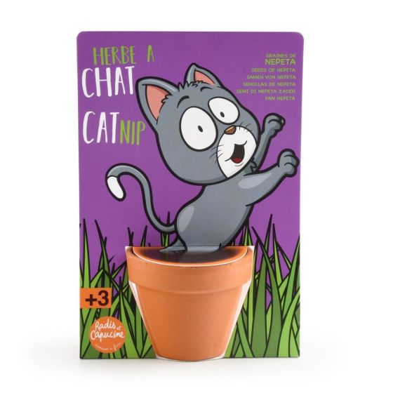 Herbe à chat - Carte avec pot