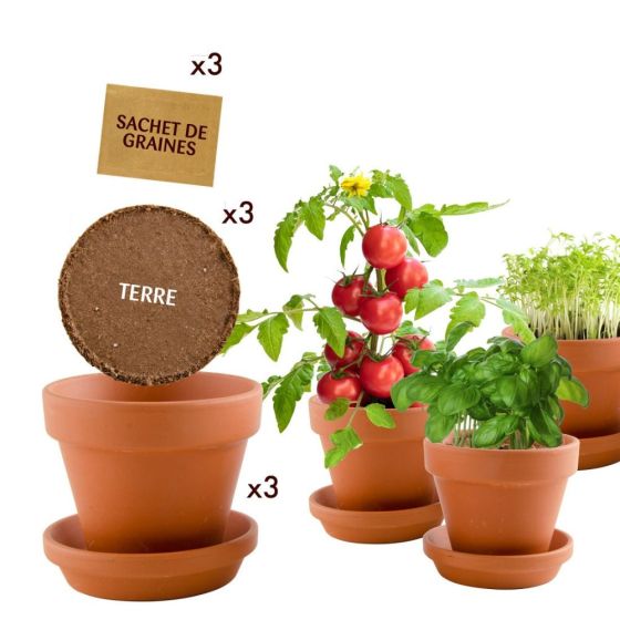 Trio 3 pots - Plantes gourmandes bio