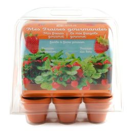 Mini serre 6 pots - Fraises à faire pousser