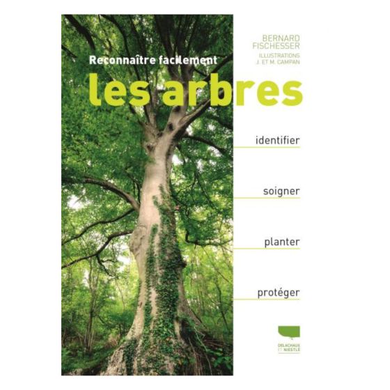 Reconnaître facilement les arbres