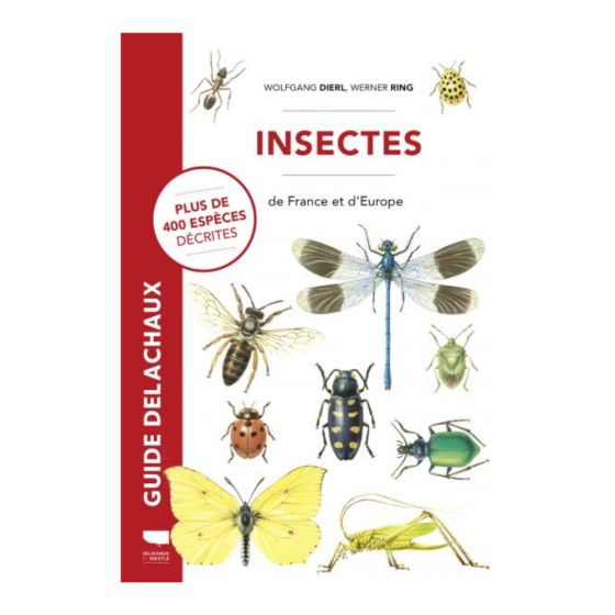 Insectes de France et d'Europe