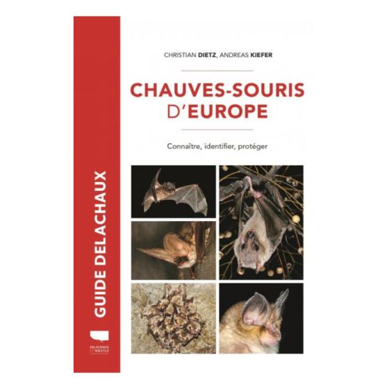 Chauves-souris d'Europe : Connaître, identifier, protéger Chauves-souris d'Europe : Connaître, identifier, protéger
