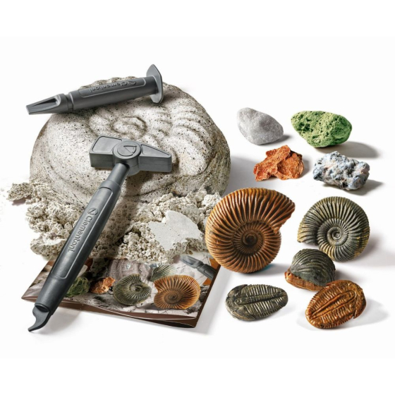 Mini-Coffret Fossiles et minéraux