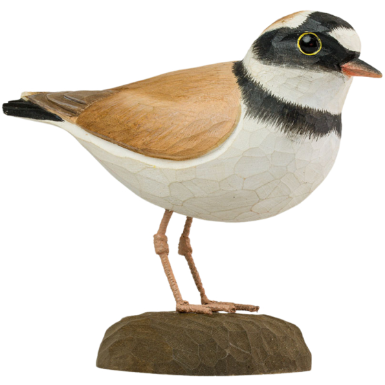 Decobird Petit Gravelot Decobird Petit Gravelot