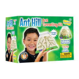 Habitat d'observation pour fourmis