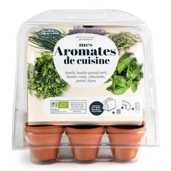 Mini serre de jardinage aromatiques à semer