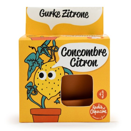 Kit pot terre cuite 8 cm - Concombre citron Kit pot terre cuite 8 cm - Concombre citron