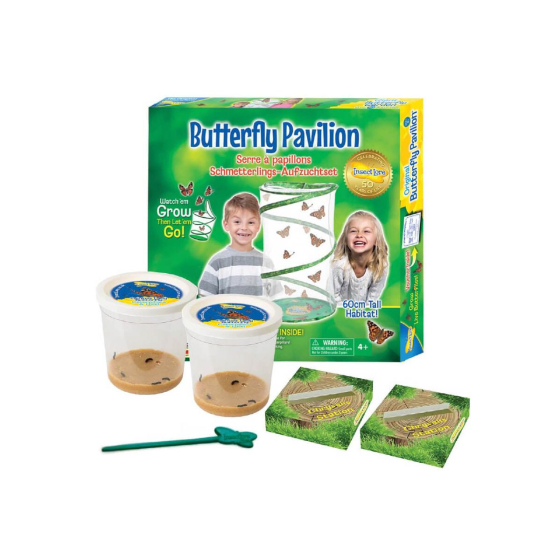 Kit d'élevage de papillons Pavillon - Chenilles incluses Kit d'élevage de papillons Pavillon - Chenilles incluses