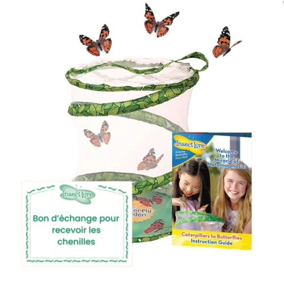 Kit d'élevage de papillons Pavillon - Bon pour chenilles Kit d'élevage de papillons Pavillon - Bon pour chenilles