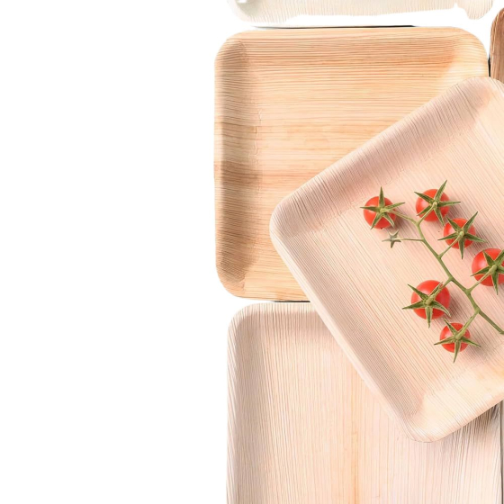 Assiettes jetables en palmier - Lot de 25 - 24 x 24 cm