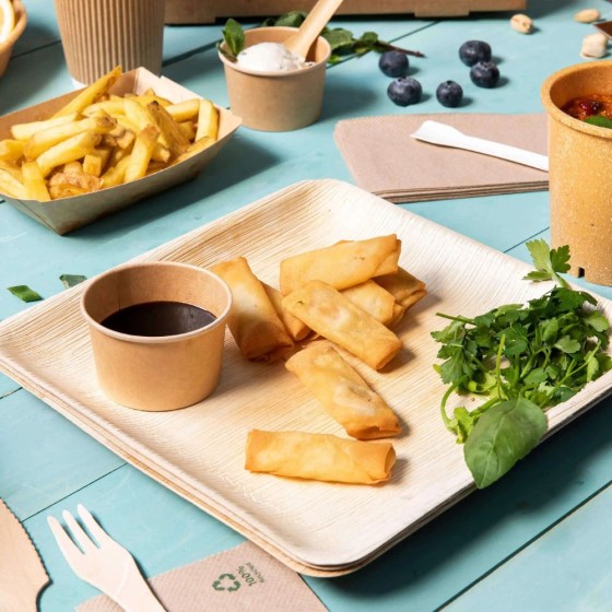 Assiettes jetables en palmier - Lot de 25 - 17 x 17 cm