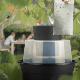 Plaques collantes - Recharges pour Piège BG-Gat (x10)