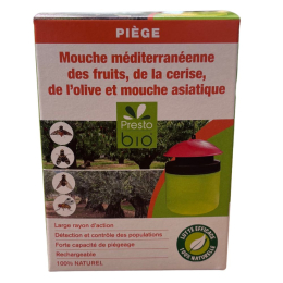 Piège pour mouche des fruits