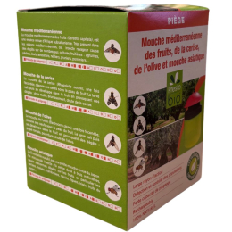 Piège pour mouche des fruits