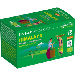 Thé vert himalaya infusettes