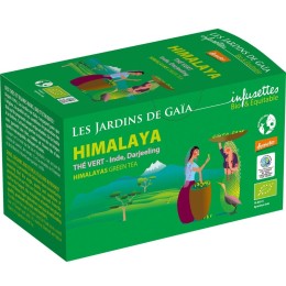 Thé vert himalaya infusettes