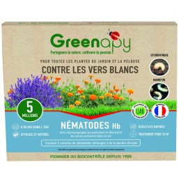 Nématodes HB anti vers blancs 5M