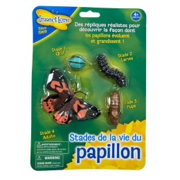 Figurines métamorphose papillon